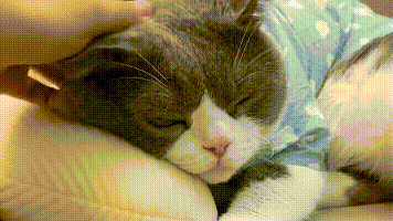 Cats Pet Mood Relaxer Micronutrient Tablets For Cats Supplement With Vitamins For A Balanced Cats Diet Nutritional Supplement