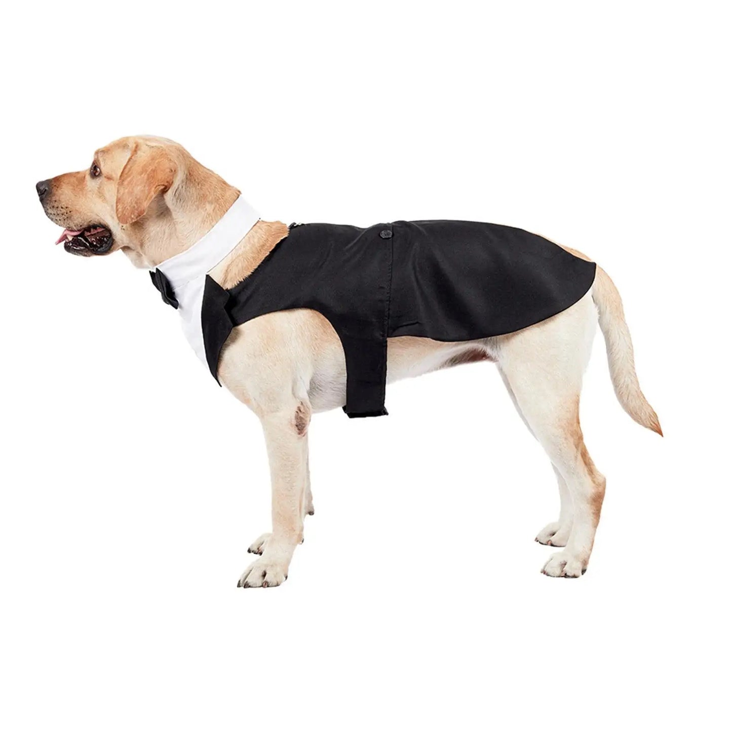 Dog Tuxedo Dog Suit and Bandana Set Party Shirt Exquisite Stitching Size XL