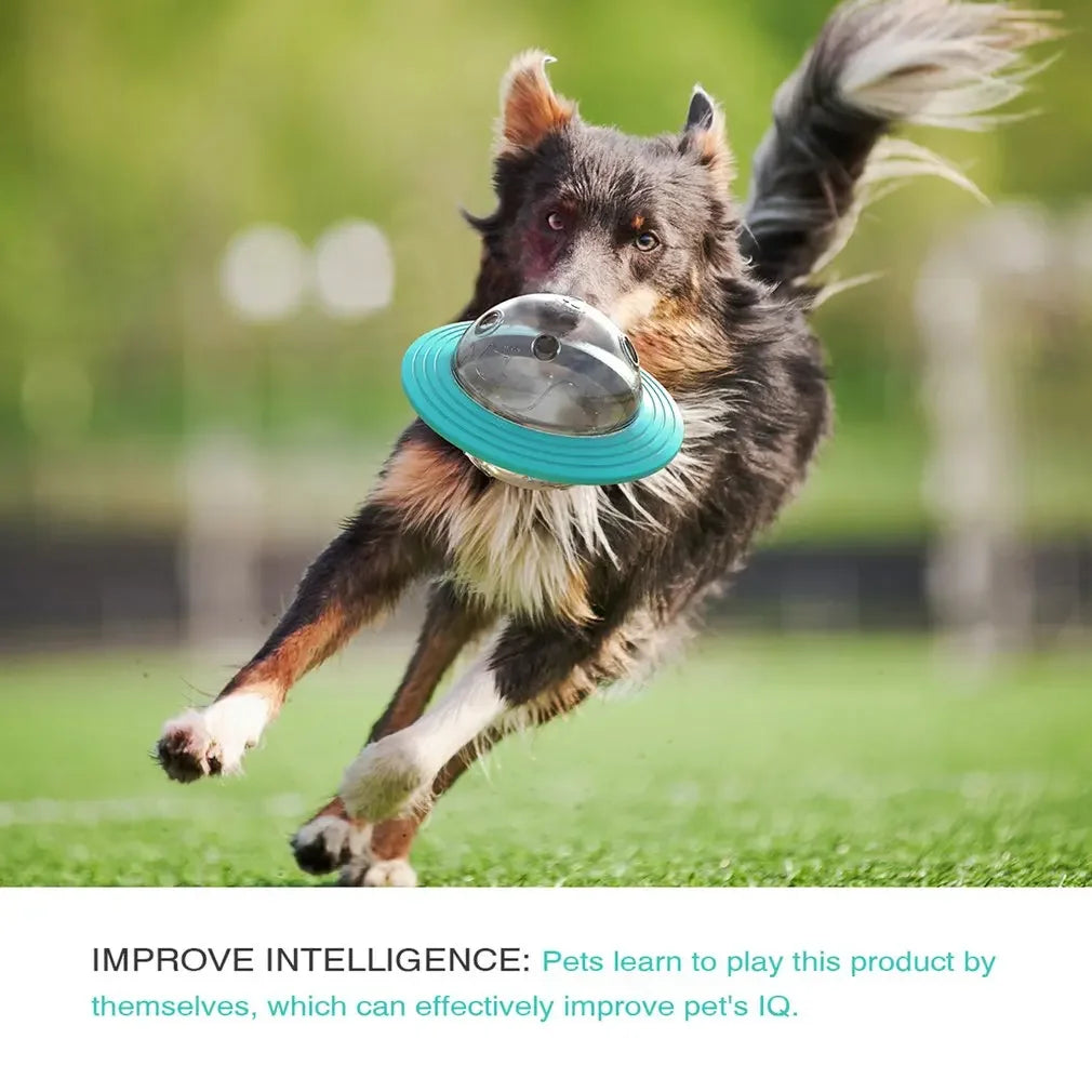 Flying Saucer Dog Game Flying Discs Toys Chew Leaking Slow Food Feeder Ball Puppy IQ Training Toy Anti Choke Puzzle Dogs