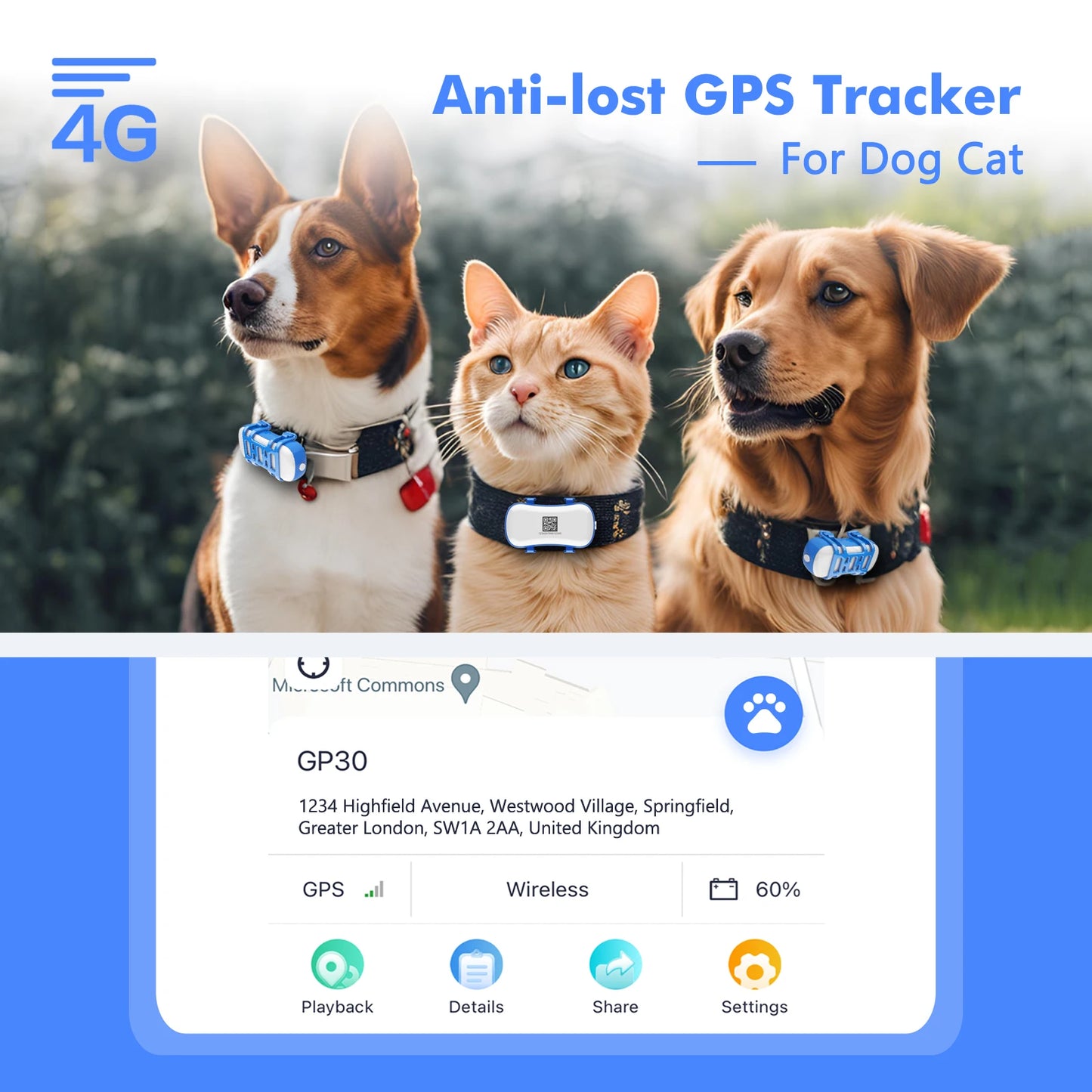 4G Dog Cat GPS Tracker for Pets - Waterproof Smart Locator with App, Live Tracking & Light/Sound Search, Free Trial Included