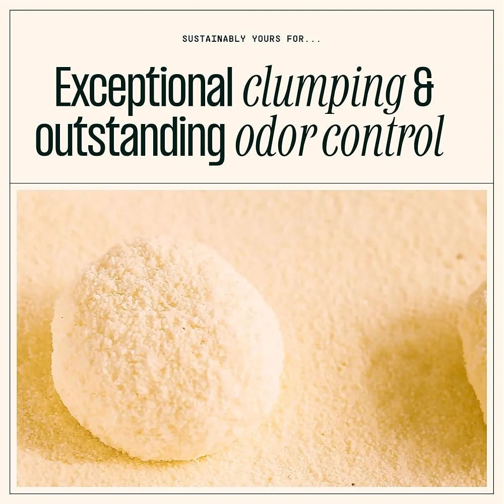 Cat Litter Unscented Natural Clumping Formula 10 lbs Exceptional Odor Control Corn Cassava Multi Grain Clumping Pet Supplies