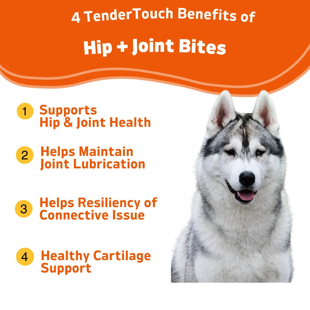 240 Chews - 2 Pack (2 x 180g/6.35oz) 360g/12.7oz - TenderTouch Hip & Joint Health - Glucosamine for Dogs Soft Chews