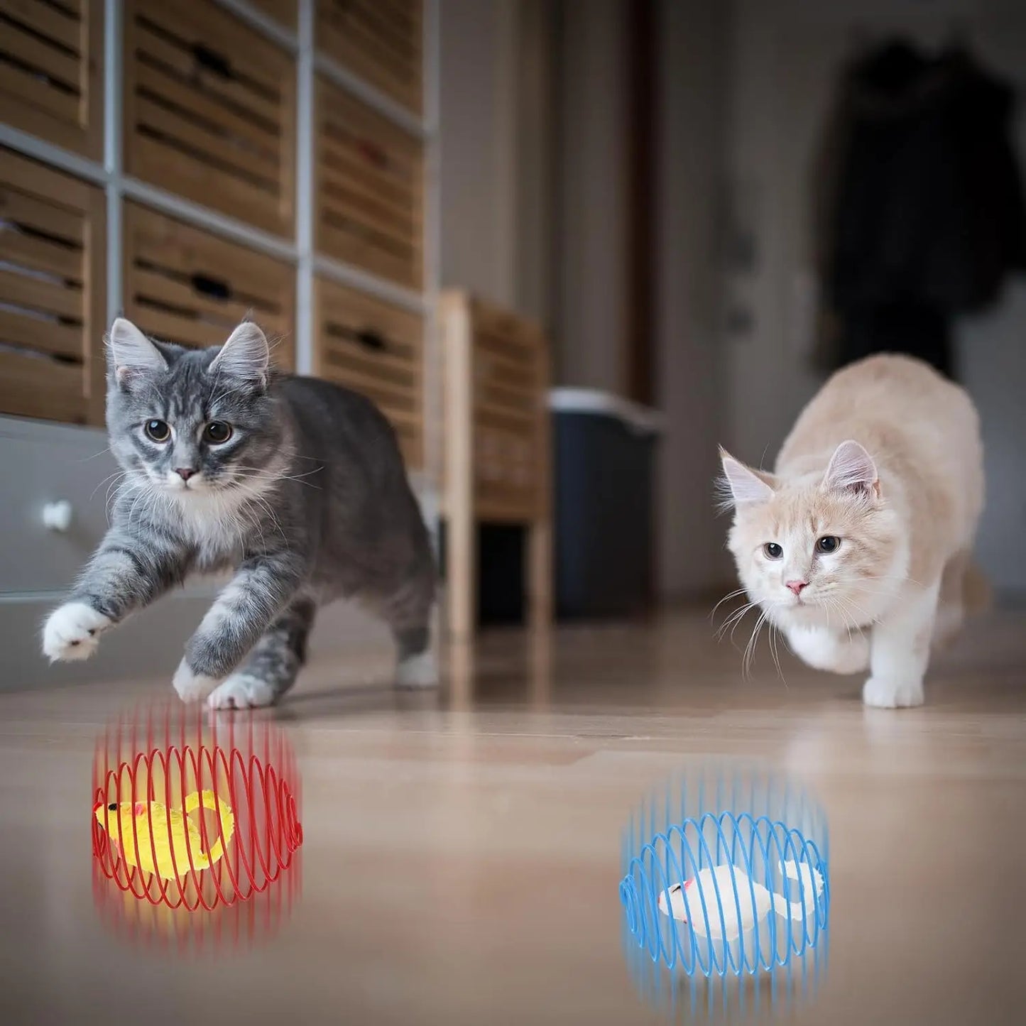 5 cat spring balls, stretchable spring toys, interactive rolling balls, colorful and interesting coil springs