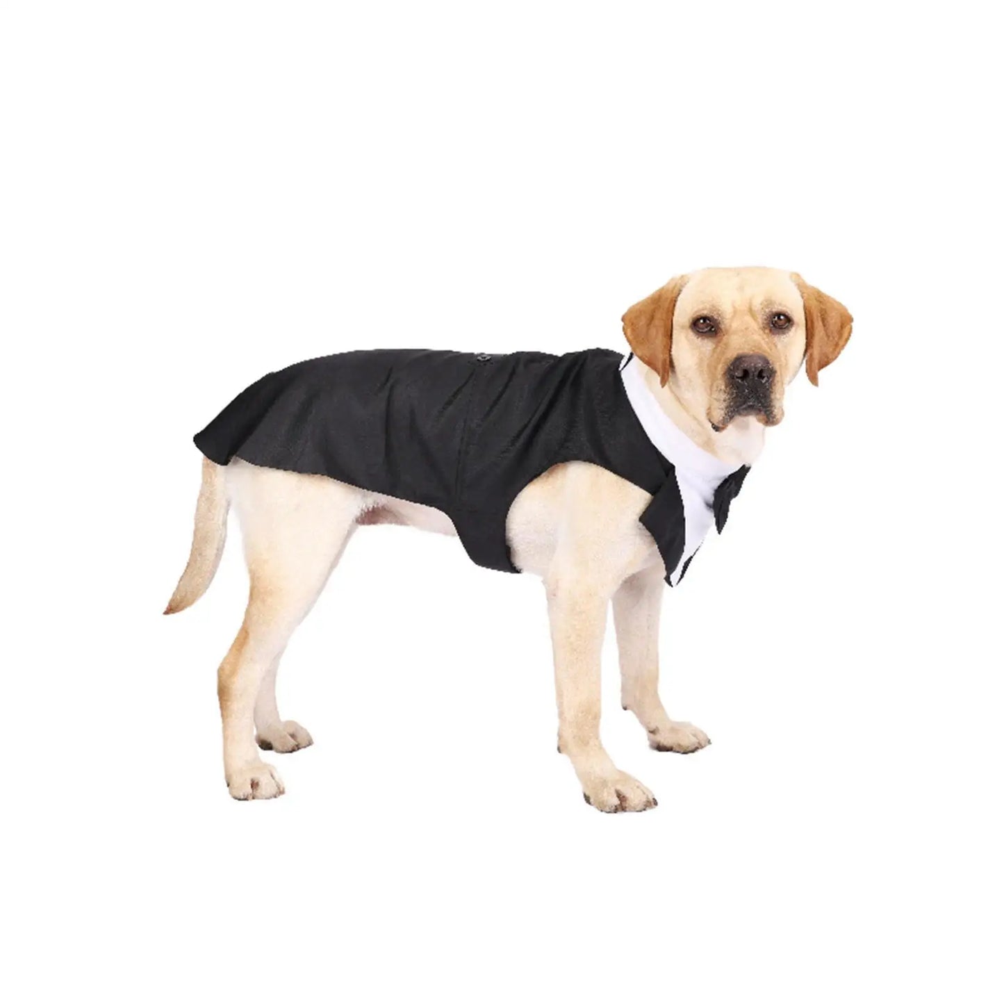 Dog Tuxedo Dog Suit and Bandana Set Party Shirt Exquisite Stitching Size XL