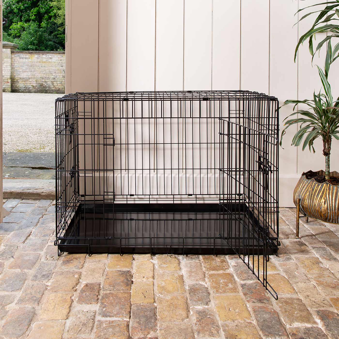 Pet Training and Containment