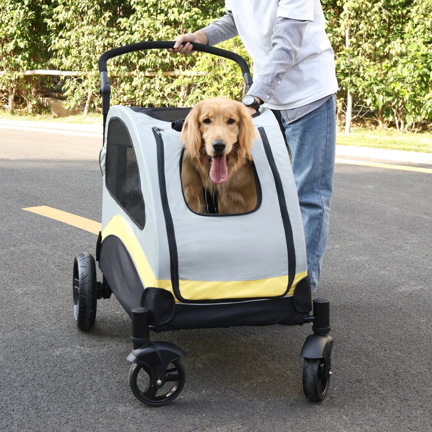Carriers & Strollers