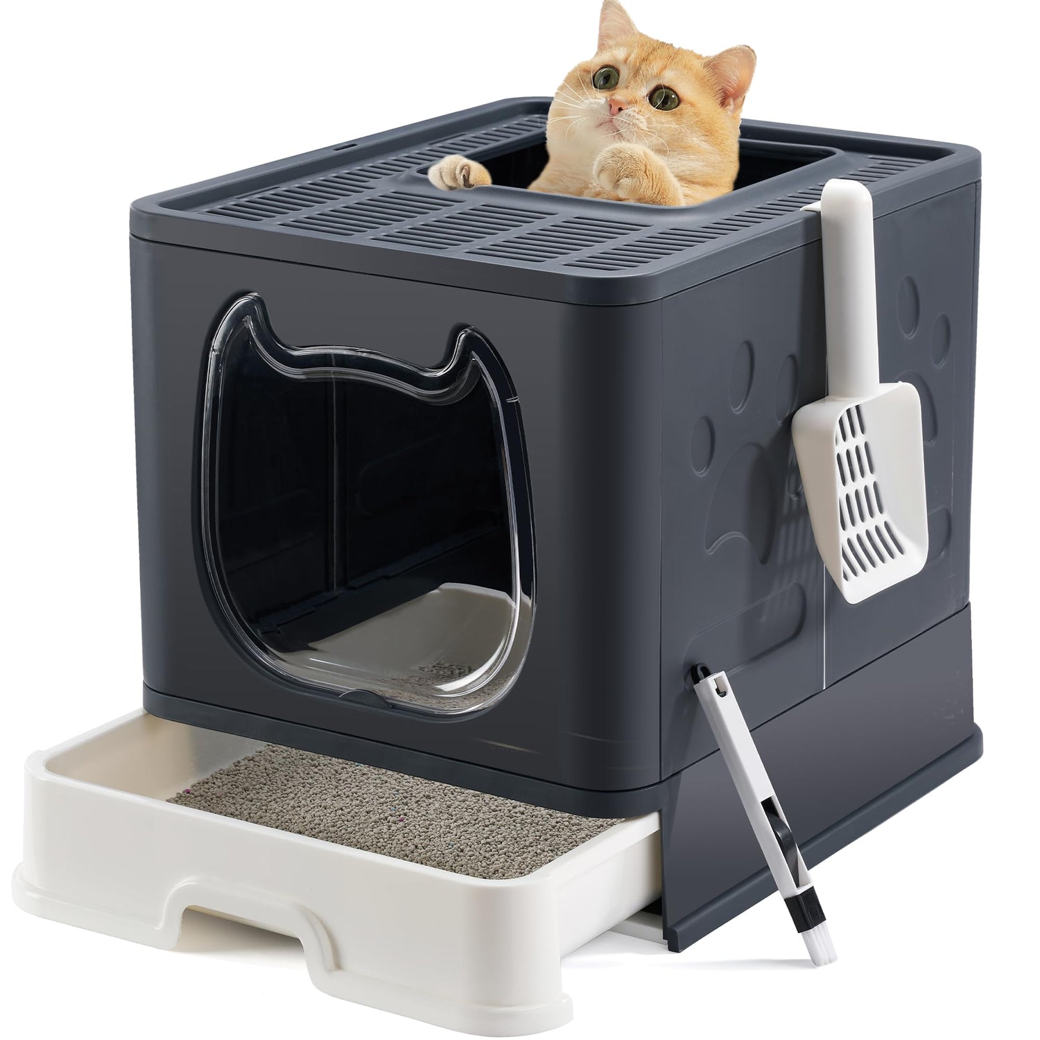 Litter Boxes/Cat Litter