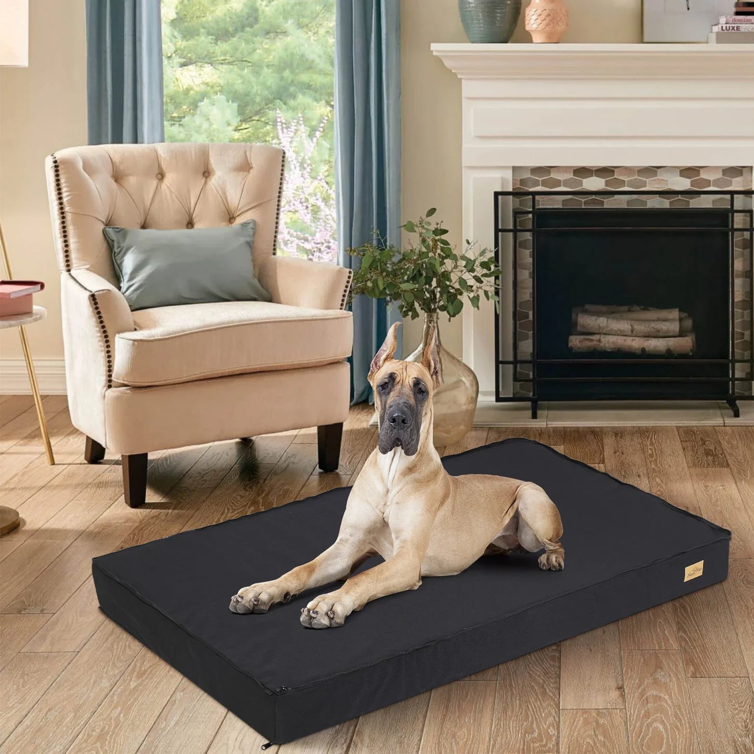 Pet Beds and Blankets