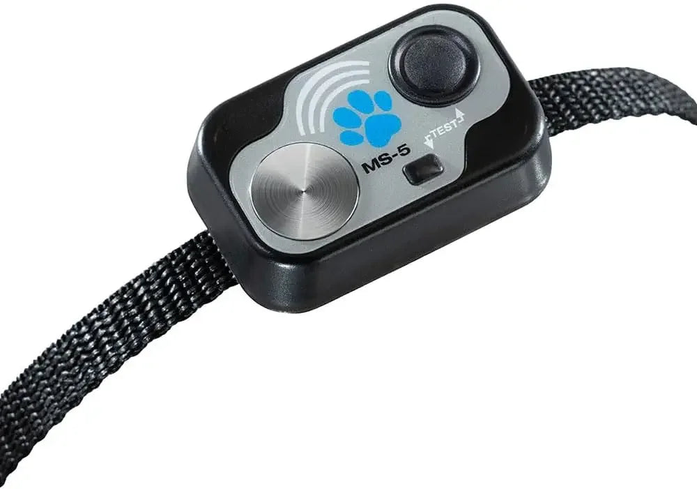 Pet Collars and Leashes