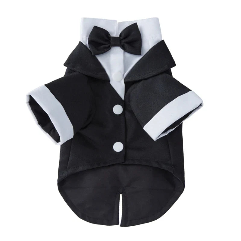 Pet Clothing