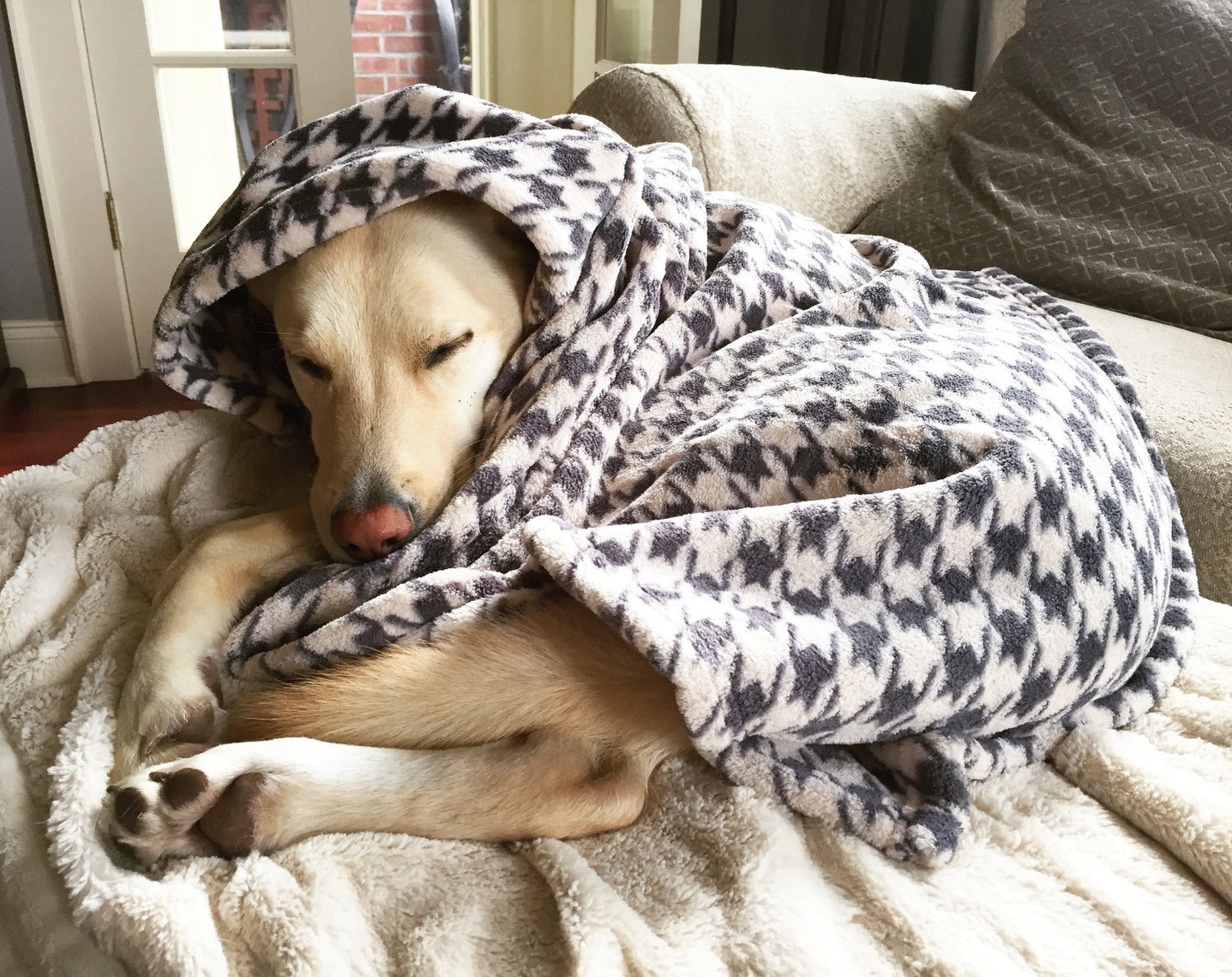 Blankets and Perches