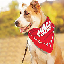 Bandanas