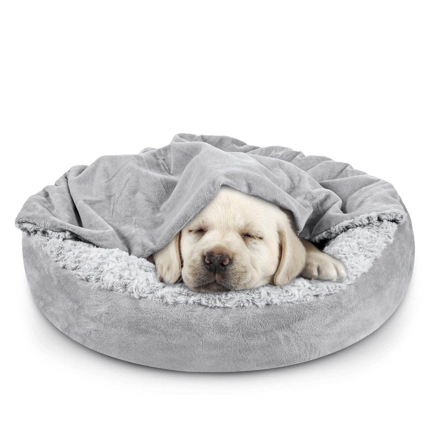 Dog Beds and Blankets