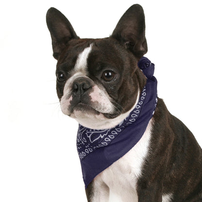 Pack of 6 Bandanas for Dog Polyester Paisley Regular Size