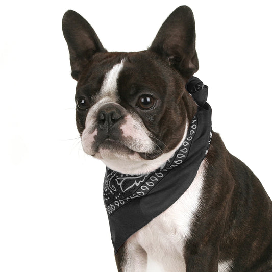 Pack of 3 Bandanas for Dog Polyester Paisley Regular Size