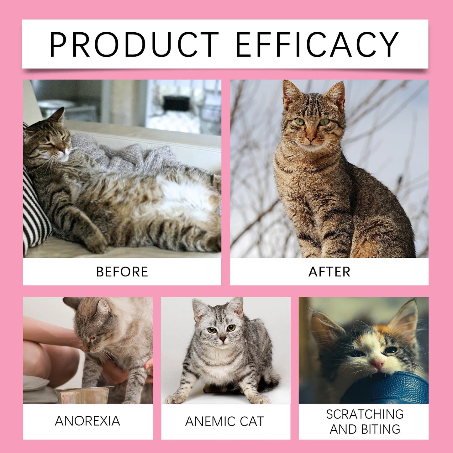 Cats Pet Mood Relaxer Micronutrient Tablets For Cats Supplement With Vitamins For A Balanced Cats Diet Nutritional Supplement