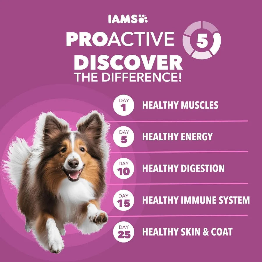 Proactive Health Healthy Aging Large Breed Dog Food for Mature and Senior Dogs with Real Chicken 30 lb. Bag