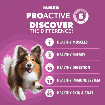 Proactive Health Healthy Aging Large Breed Dog Food for Mature and Senior Dogs with Real Chicken 30 lb. Bag