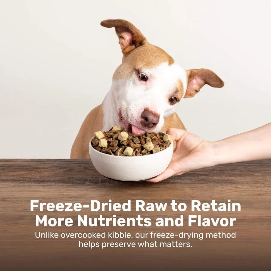 Superfood Nuggets Freeze-Dried Raw Dog Treat and Food Topper Nutrient-Dense Duck and Kale Formula High Protein No Artificial Ad