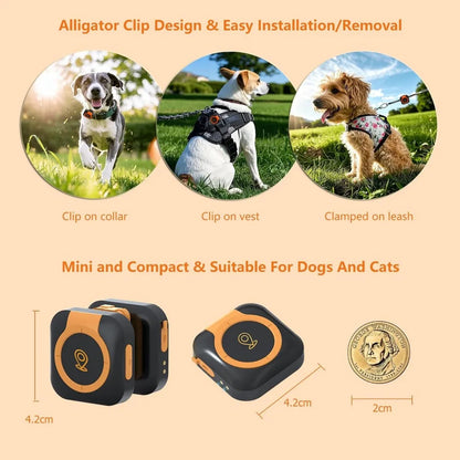 GPS Tracker Health Monitoring for Dogs, GPS Location & Smart Pet Activity Tracker, Works with Any Collar (Android and iOS Univer