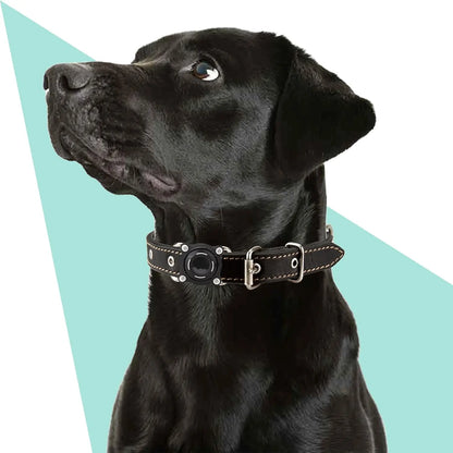Waterproof Dog Collar Holder for Airtag - Durable, Shockproof Case for Pets, Anti-Loss GPS Tracker Cover