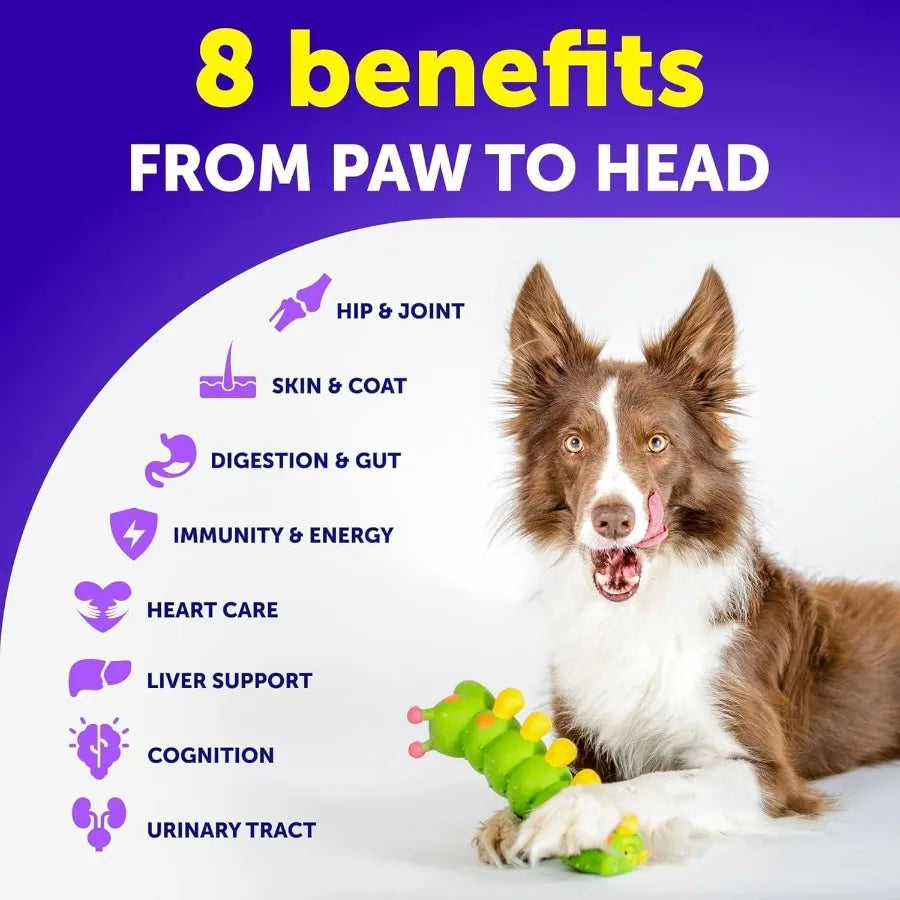 Dog Multivitamin Chewable with Glucosamine 20 in 1 Dog Vitamins and Supplements Senior Puppy Multivitamin for Dogs Pet Joint Su