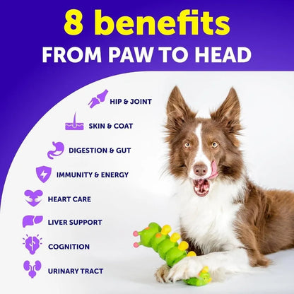 Dog Multivitamin Chewable with Glucosamine 20 in 1 Dog Vitamins and Supplements Senior Puppy Multivitamin for Dogs Pet Joint Su
