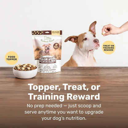 Superfood Nuggets Freeze-Dried Raw Dog Treat and Food Topper Nutrient-Dense Duck and Kale Formula High Protein No Artificial Ad