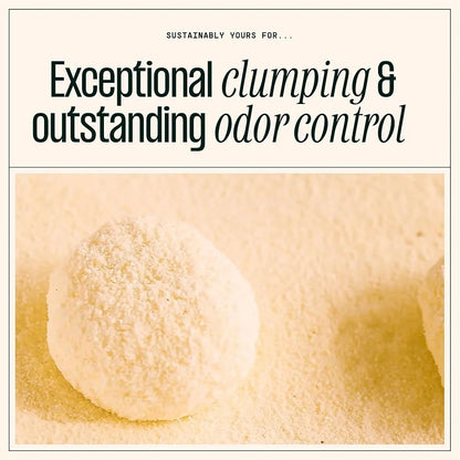 Cat Litter Unscented Natural Clumping Formula 10 lbs Exceptional Odor Control Corn Cassava Multi Grain Clumping Pet Supplies