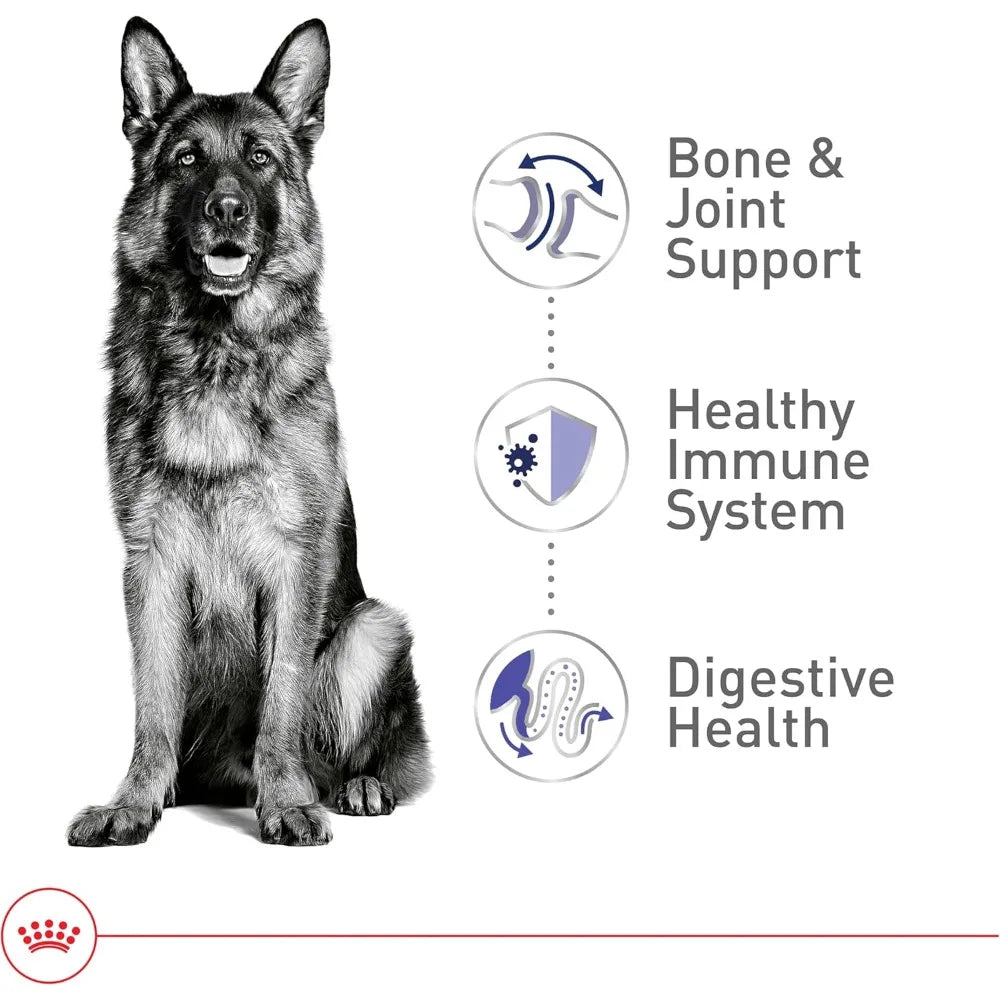 Size Health Nutrition Large Adult Dry Dog Food, 30 lb Bag