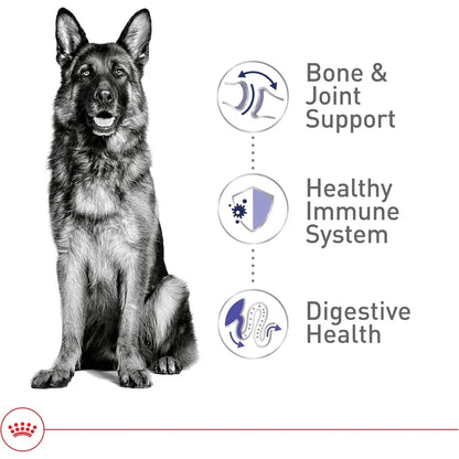 Size Health Nutrition Large Adult Dry Dog Food, 30 lb Bag