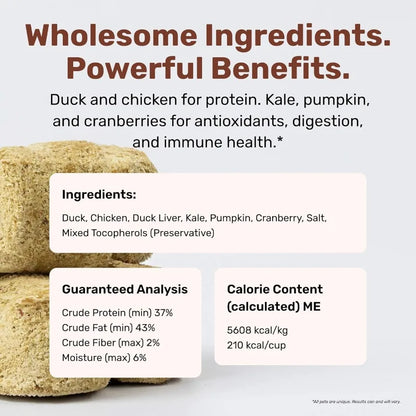 Superfood Nuggets Freeze-Dried Raw Dog Treat and Food Topper Nutrient-Dense Duck and Kale Formula High Protein No Artificial Ad