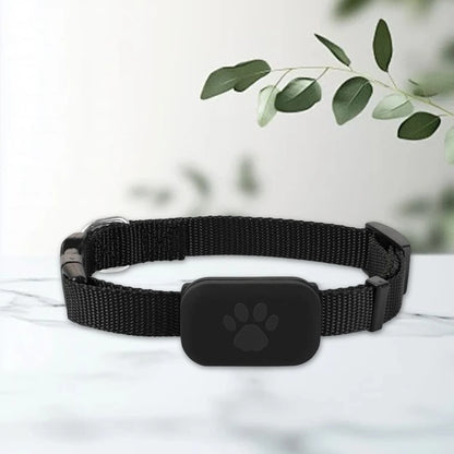 Cat Locator with Adjustable Collar Smart Pet Locator Cat Tracker for Dogs and Cats