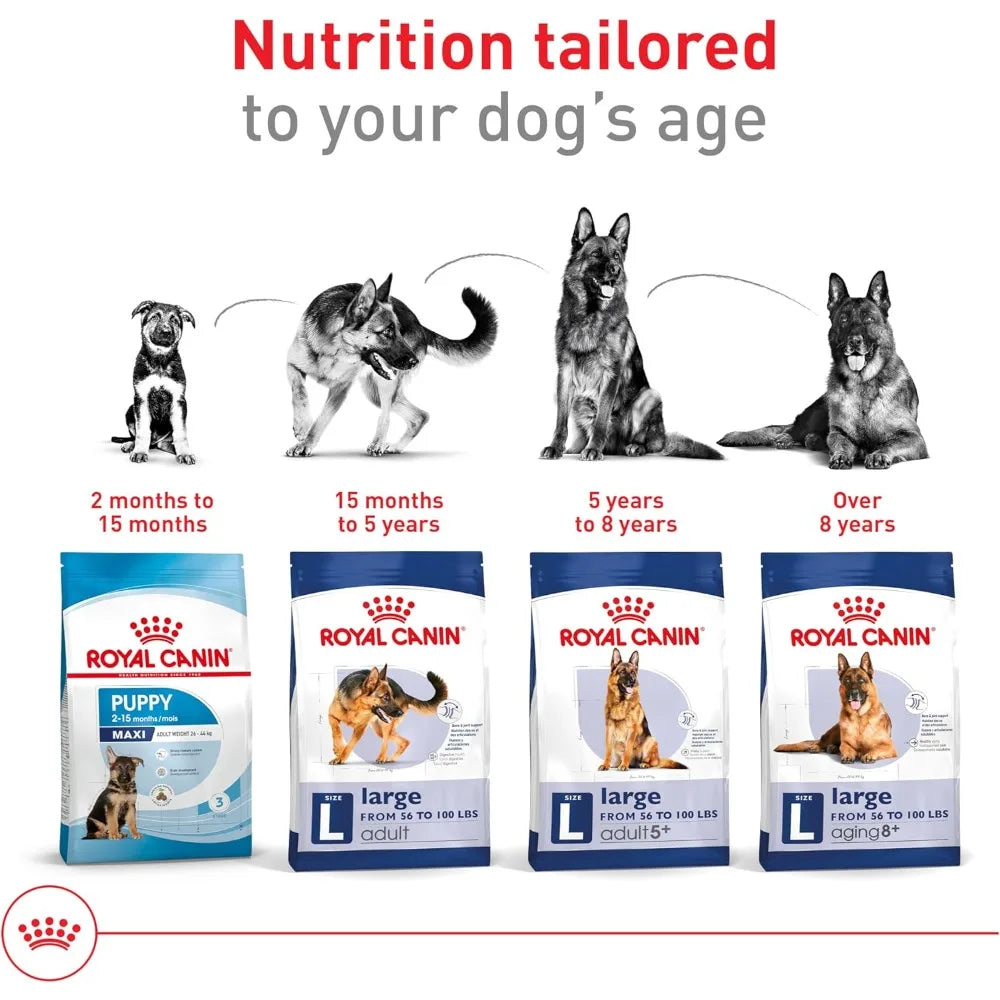 Size Health Nutrition Large Adult Dry Dog Food, 30 lb Bag