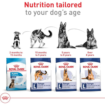 Size Health Nutrition Large Adult Dry Dog Food, 30 lb Bag