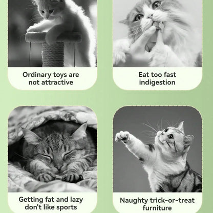 Solid Color Planet Digging Holes And Leaking Food Educational Toys Cat Snack Dispenser Interactive Cat And Dog Toys