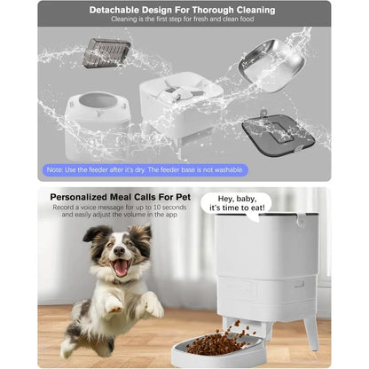Automatic cat Feeder and Water Fountain,4L WiFi Dry Auto Pet Food and 2.2L Water Dispenser Set,Small Timed Self Feed Smart APP F