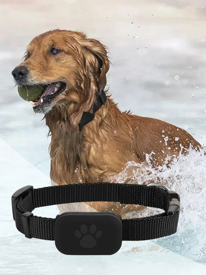 Cat Locator with Adjustable Collar Smart Pet Locator Cat Tracker for Dogs and Cats