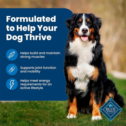 Life Protection Formula Adult Dry Dog Food, Helps Build and Maintain Strong Muscles,Chicken & Brown Rice Recipe, 34-lb. Bag