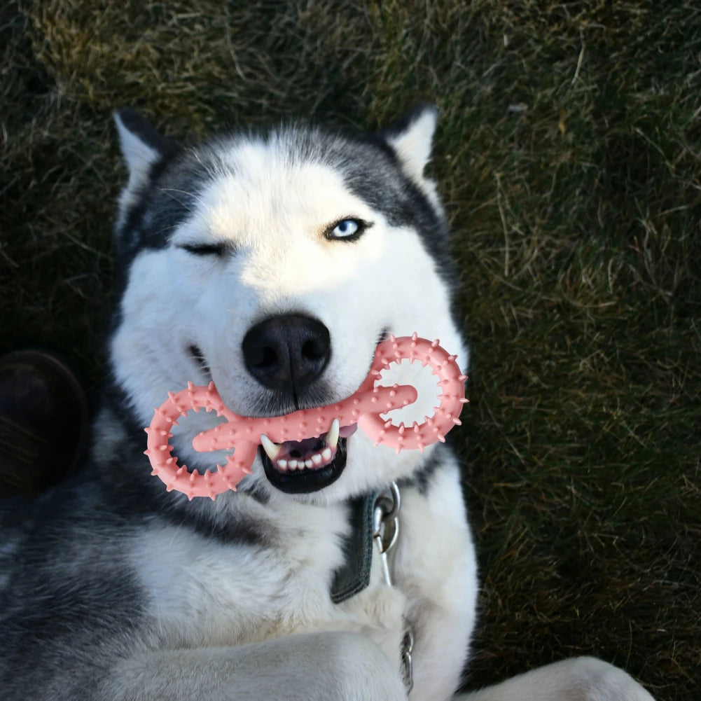 TPR Pet Dog Molar Toys for Cleaning Tooth Teeth Cleaning Pet Chewing Toys Rubber Bite-resistance Teeth Grinding Chewing Toy