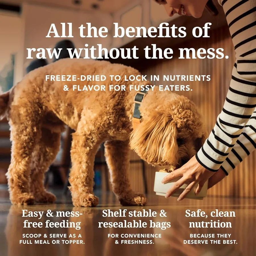 - Grain Free Freeze Dried Dog Food - Lamb and Salmon 17.6oz