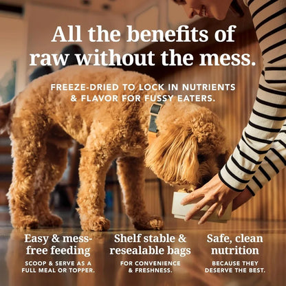 - Grain Free Freeze Dried Dog Food - Lamb and Salmon 17.6oz
