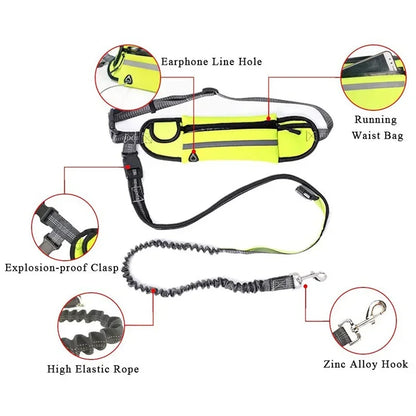 Hands Free Dog Leash with Zipper Pouch Reflective Bungee for Medium to Large Dogs Walking Jogging and Running