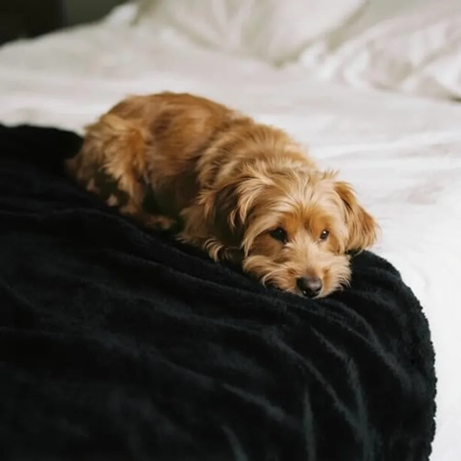 Waterproof Bed Blanket for Pets: Reversible Sherpa Fleece Throw in Gray Liquid- and Fur-Resistant Furniture Cover for Beds Couc